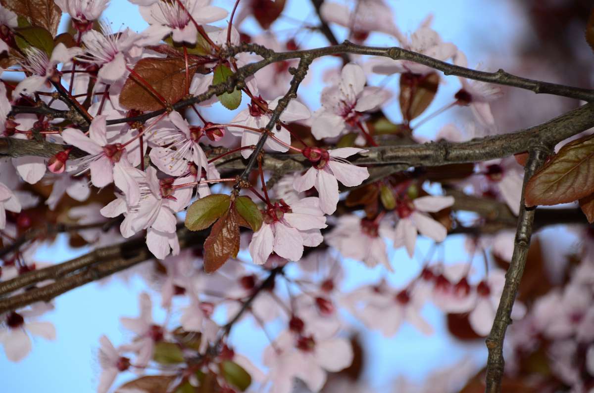 2014-03-28 16-26-26.JPG